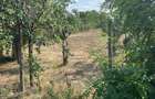 Vand Teren 1500 m (Sau 2 loturi a 750 m fiecare) (Pre? negociabil) - 2