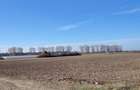 Teren intravilan Cosoba 4650 mp la 20 min de militari Bucuresti - 2