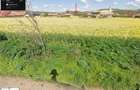 Vand teren intravilan sat Chirileu jud. Mures - 2
