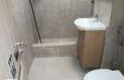 Colentina Rau, Mc Donalds, stradal, renovat 2026, - 13