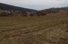 Oportunitate Investitie: Teren 8.000 mp Bistrita Valea Ghinzii - 4
