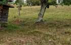 Teren intravilan de vanzare, 26.000 mp, Bulz, Bihor,Gaminvest,V4693 - 5