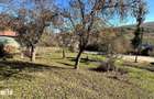 Teren 4044 mp, deschidere 60m, la 18 km de Campina, asfalt si curent - 2