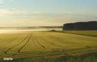 De vanzare teren extravilan 82.900 mp, SALONTA, BH, f bine amplasat - 1