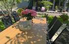 Birou cu piscina, curte si zona de relaxare - 11