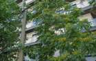 Garsoniera moderna de inchiriat Dristor | Day Residence | 550 /luna - 1