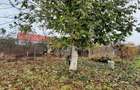 Casă cu 4 camere cu Teren 1375 Mp în Plopi - 4