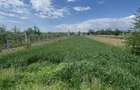 Vand teren 1600 m2, Dragomire?ti Dambovita - 3