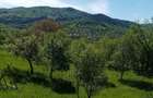 Vand casa ?i teren in Valea Doftanei. - 2