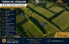 Teren 9.000 mp Bran – Tohănița | Intravilan | Deschidere 60 m  Vedere Panoramica - 4