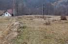 Teren de 10000 mp, în Lepșa - 1