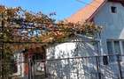Casă cu Teren 270 Mp în Central - 5