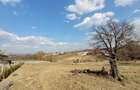 Vand teren intravilan Recea, Maramures in apropiere de Baia Mare - 5