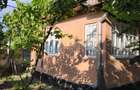 Casa de vanzare la tara - Sat Boian, Comuna Ceanu Mare cu teren 40 ari - 8