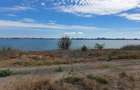 Teren de vanzare in Palazu Mare primul rand la lacul Siutghiol - 7