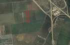 Teren 16.434mp, intravilan, Tunari-Lacul Pasarea - 3