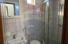 Apartament cu 1 camere de inchiriat in zona Brazda lui Novac - 3