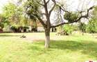 Casa cu teren 4,3 hectare in Livada ( ID 22148) - 7