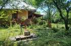 Casa si teren Comuna Fagetelu - 9
