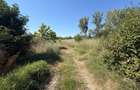 Teren de vanzare, certificat urbanism, 6.325 mp, zona Lapus Arges