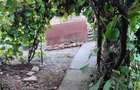Vanzare casa Daia - Giurgiu - 5