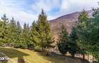 Comision 0% Casa de vacanta in Muntele Rece | Priveliste Panoramica - 17