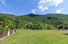 Vand teren in Retezat, 1260 mp, zona Raul Mare, intre pensiuni si case de vacanta - 4