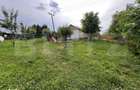 Casa de inchiriat in zona Valea Fanatelor, 140 mp, curte 650 mp - 10