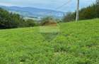 Teren 5600mp | Copalnic-Manastur TOATE UTILITATILE PE PROPRIETATE