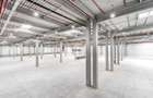 Spatiu Industrial - 4300 mp - Logistica - Depozitare - Distributie - 1