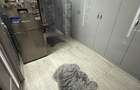Vand apartament zona 800