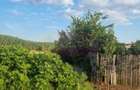 VANZARE TEREN 2150 MP IN SAT TEISORI (GR) - 9