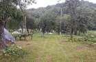 Vand teren intravilan si casa in orasul Baia de Arama - 9