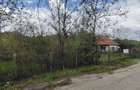 Teren intravilan de 3661 mp, acces asfaltat