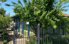 Casa la ?ara cu teren 3922 m2 cu ie?ire pe 2 strazi in Baneasa, judetul Giurgiu - 8