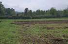 Teren de 1500 mp, în Sălciva - 2