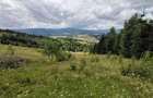 Vand teren in panaci - 4