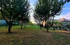 Teren intravilan 1.200+ mp | Livada & Acces privat 7m | Salcioara - Jurilovca