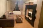 Apartament de inchiriat Timisoara, zona Medicinei - 9