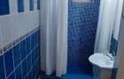 Vand apartament pe calea Traian langa muzeu. - 5