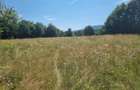 Teren de vânzare – 3.250 mp în Valea Dejani | Natură, liniște și potențial - 2