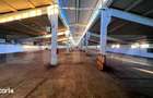Hale Industriale 3.850 mp Utili + Teren 11.400 mp | Blaj - 2