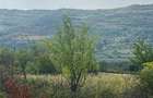 2500m Teren Intravilan Ora?ul Urla?i, Strada Orzoaia de Sus Zona Parc Bellu Acte Perfectate - 6