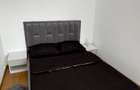 Apartament 2 camere de inchiriat - 4
