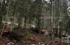 Teren unic, exclusivist 4000 mp, in inima muntilor, Sinaia - Sinaia (Prahova)