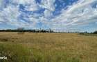 Teren Intravilan 1 ha Acces Drum Asfalt | Ideal Rezidential - 3
