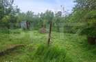 Casa cu Panorama Superba si 2300 mp Teren Liniste si Natura - 17