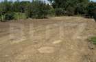 Teren de vanzare 942 m2 | Zavoaie, Bistrita | Acces direct la ra - 4