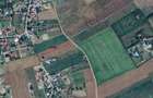 Teren de 1300 mp, în Ciurea