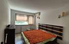 APARTAMENT 3 CAMERE DE VANZARE GORJULUI - 14